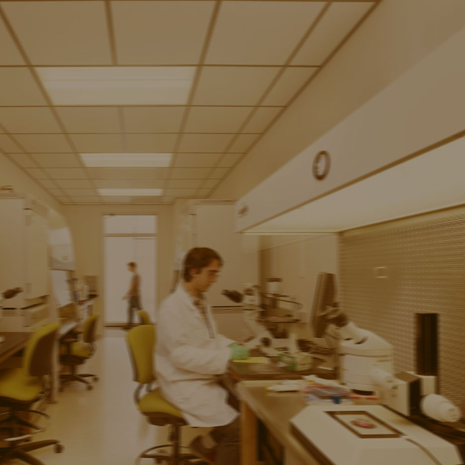 CASE STUDY:<br />
Orthopedic Stem Cell Surgery Center